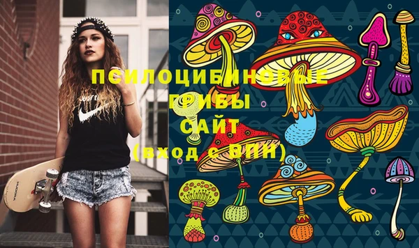 метамфетамин Богородицк