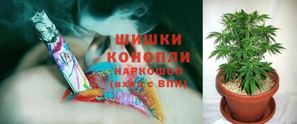 эйфоретик Богданович